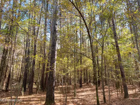 80 8 Acres, Carthage, MS 39051 photo 32