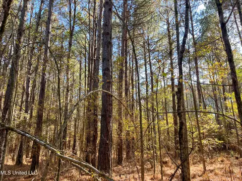 80 8 Acres, Carthage, MS 39051 photo 55