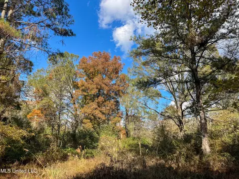 80 8 Acres, Carthage, MS 39051 photo 44