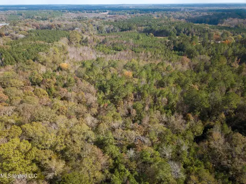 80 8 Acres, Carthage, MS 39051 photo 5