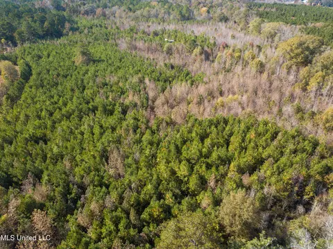 80 8 Acres, Carthage, MS 39051 photo 33
