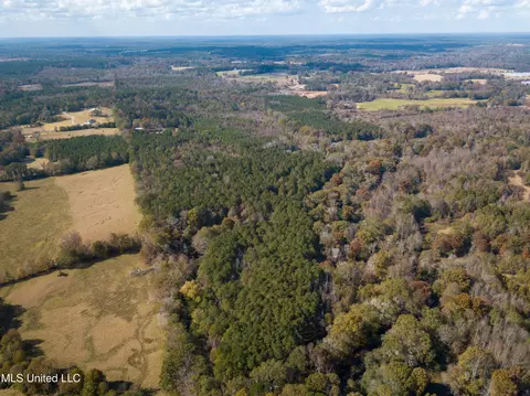 80 8 Acres, Carthage, MS 39051 photo 13