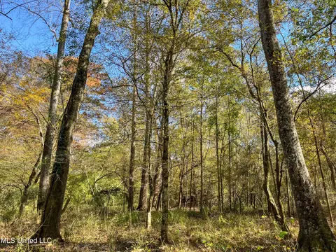 80 8 Acres, Carthage, MS 39051 photo 41