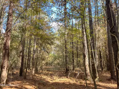80 8 Acres, Carthage, MS 39051 photo 48