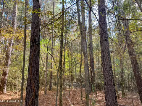 80 8 Acres, Carthage, MS 39051 photo 39