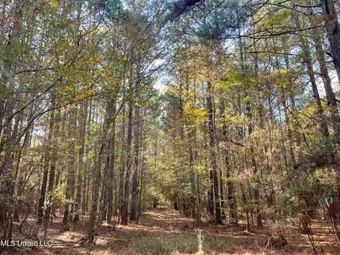 80 8 Acres, Carthage, MS 39051 photo 19