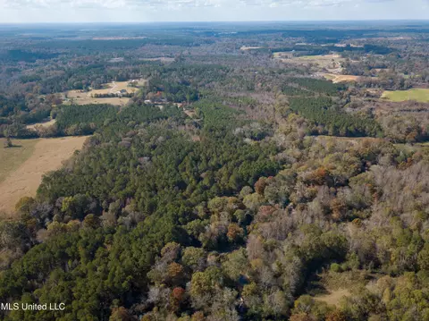 80 8 Acres, Carthage, MS 39051 photo 12