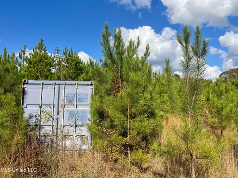 80 8 Acres, Carthage, MS 39051 photo 35