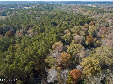 80 8 Acres, Carthage, MS 39051 photo 25