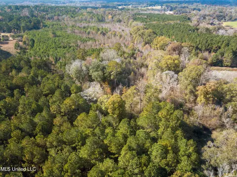 80 8 Acres, Carthage, MS 39051 photo 31