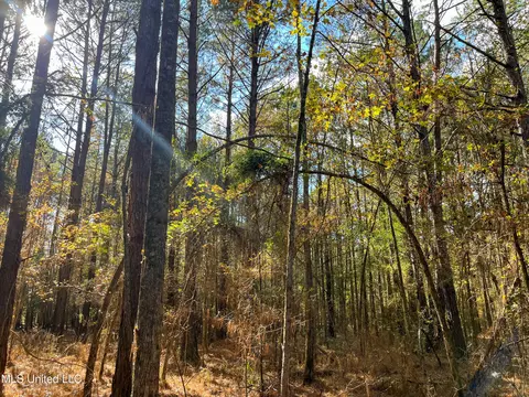 80 8 Acres, Carthage, MS 39051 photo 54