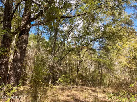 80 8 Acres, Carthage, MS 39051 photo 38