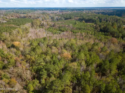 80 8 Acres, Carthage, MS 39051 photo 7