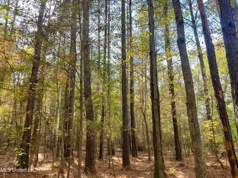 80 8 Acres, Carthage, MS 39051 photo 16