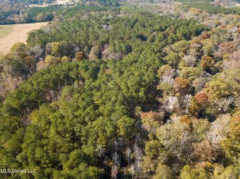 80 8 Acres, Carthage, MS 39051 photo 17