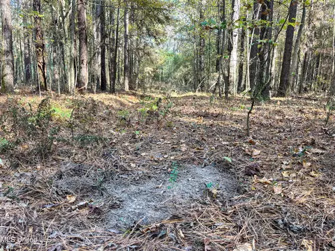 80 8 Acres, Carthage, MS 39051 photo 58
