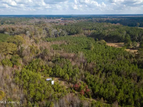 80 8 Acres, Carthage, MS 39051 photo 8