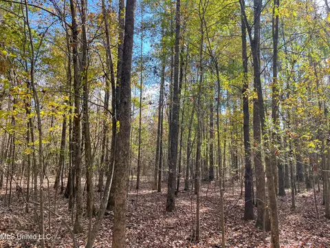 80 8 Acres, Carthage, MS 39051 photo 36