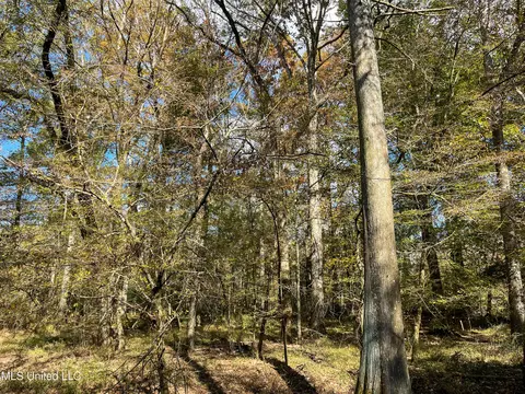 80 8 Acres, Carthage, MS 39051 photo 26
