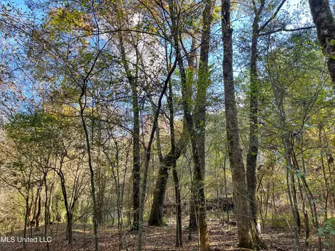 80 8 Acres, Carthage, MS 39051 photo 49