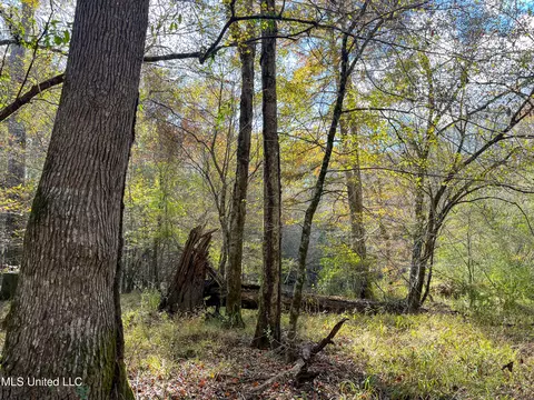80 8 Acres, Carthage, MS 39051 photo 52