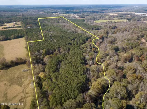80 8 Acres, Carthage, MS 39051 photo 11
