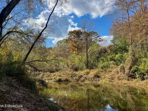 80 8 Acres, Carthage, MS 39051