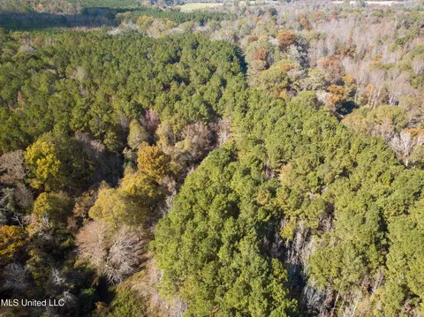 80 8 Acres, Carthage, MS 39051 photo 21