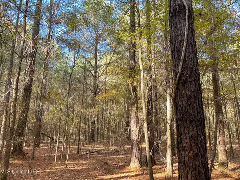 80 8 Acres, Carthage, MS 39051 photo 59