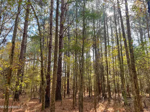 80 8 Acres, Carthage, MS 39051 photo 57