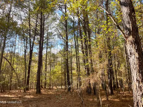 80 8 Acres, Carthage, MS 39051 photo 56