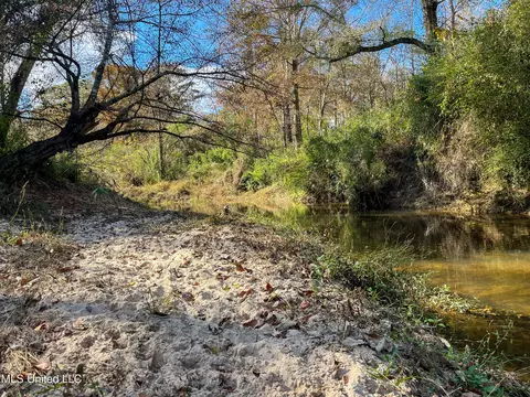 80 8 Acres, Carthage, MS 39051 photo 4