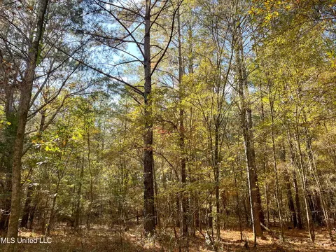 80 8 Acres, Carthage, MS 39051 photo 42