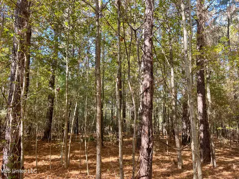 80 8 Acres, Carthage, MS 39051 photo 61