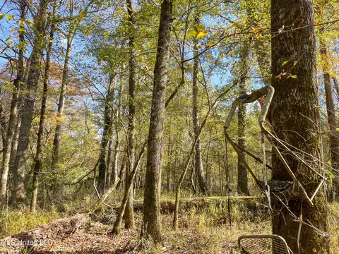 80 8 Acres, Carthage, MS 39051 photo 50