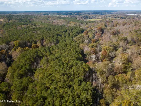 80 8 Acres, Carthage, MS 39051 photo 15