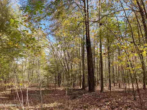 80 8 Acres, Carthage, MS 39051 photo 37