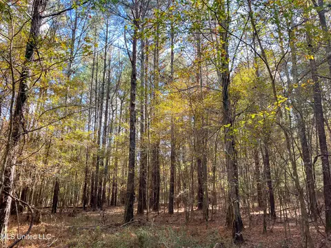 80 8 Acres, Carthage, MS 39051 photo 46