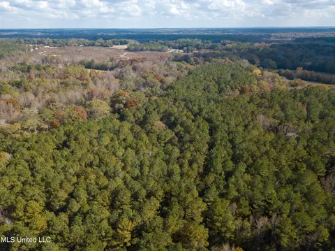 80 8 Acres, Carthage, MS 39051 photo 10