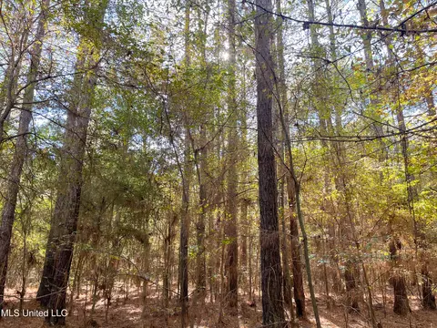 80 8 Acres, Carthage, MS 39051 photo 40
