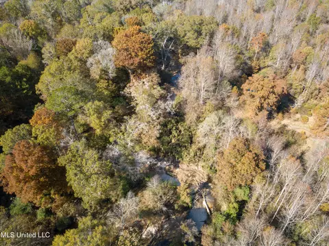 80 8 Acres, Carthage, MS 39051 photo 29