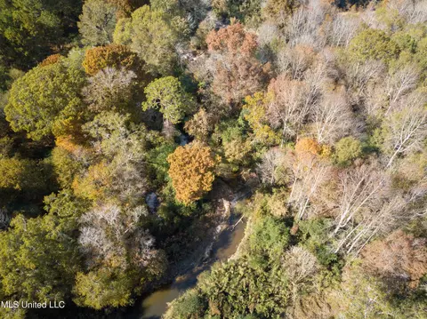 80 8 Acres, Carthage, MS 39051 photo 27