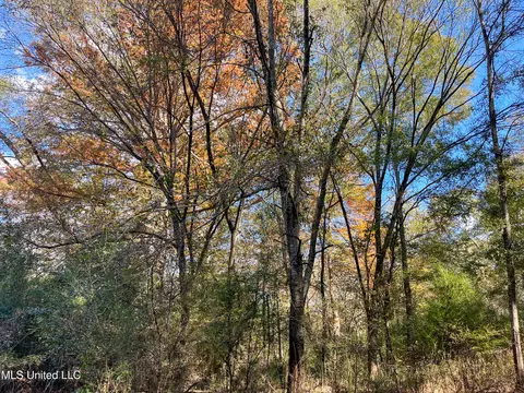 80 8 Acres, Carthage, MS 39051 photo 9