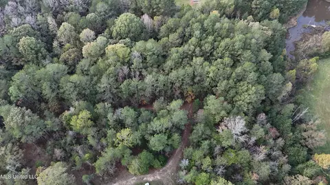 Bones Road, Florence, MS 39073 photo 6