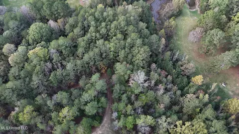 Bones Road, Florence, MS 39073 photo 5