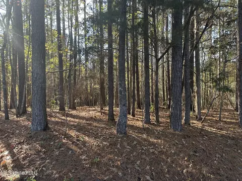 Bones Road, Florence, MS 39073