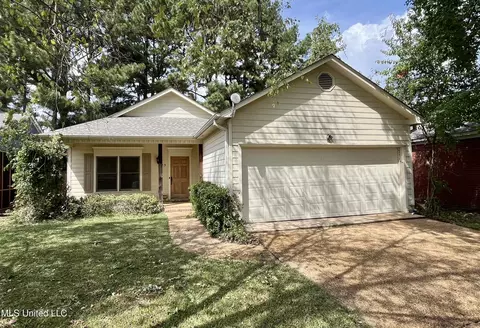 313 Pelahatchie Shore Dr, Brandon, MS 39047