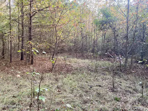 Massey Road, Kosciusko, MS 39090