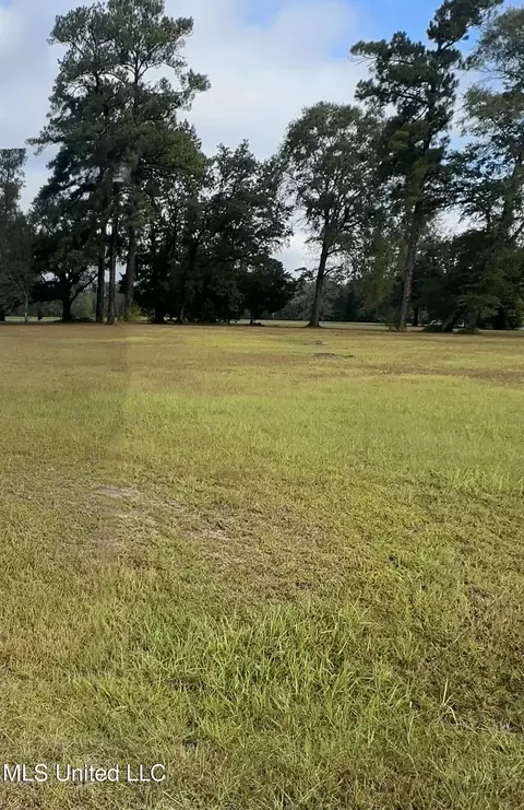 0 Albert Reeves Rd, Lucedale, MS 39452 photo 2