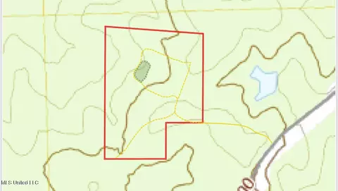 1 Truitt Rd, Pickens, MS 39146 photo 33